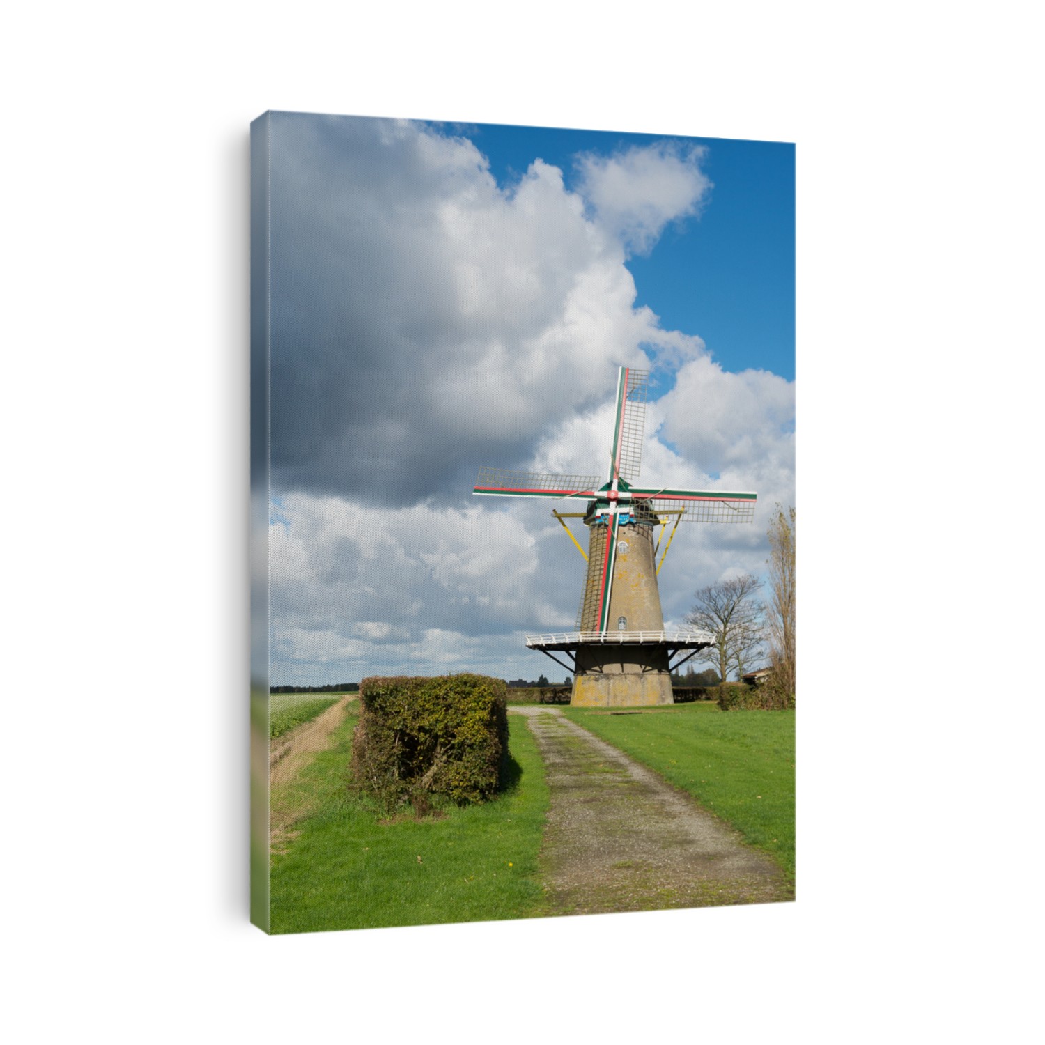 Dutch windmill De Korenbloem in Zonnemaire zeeland