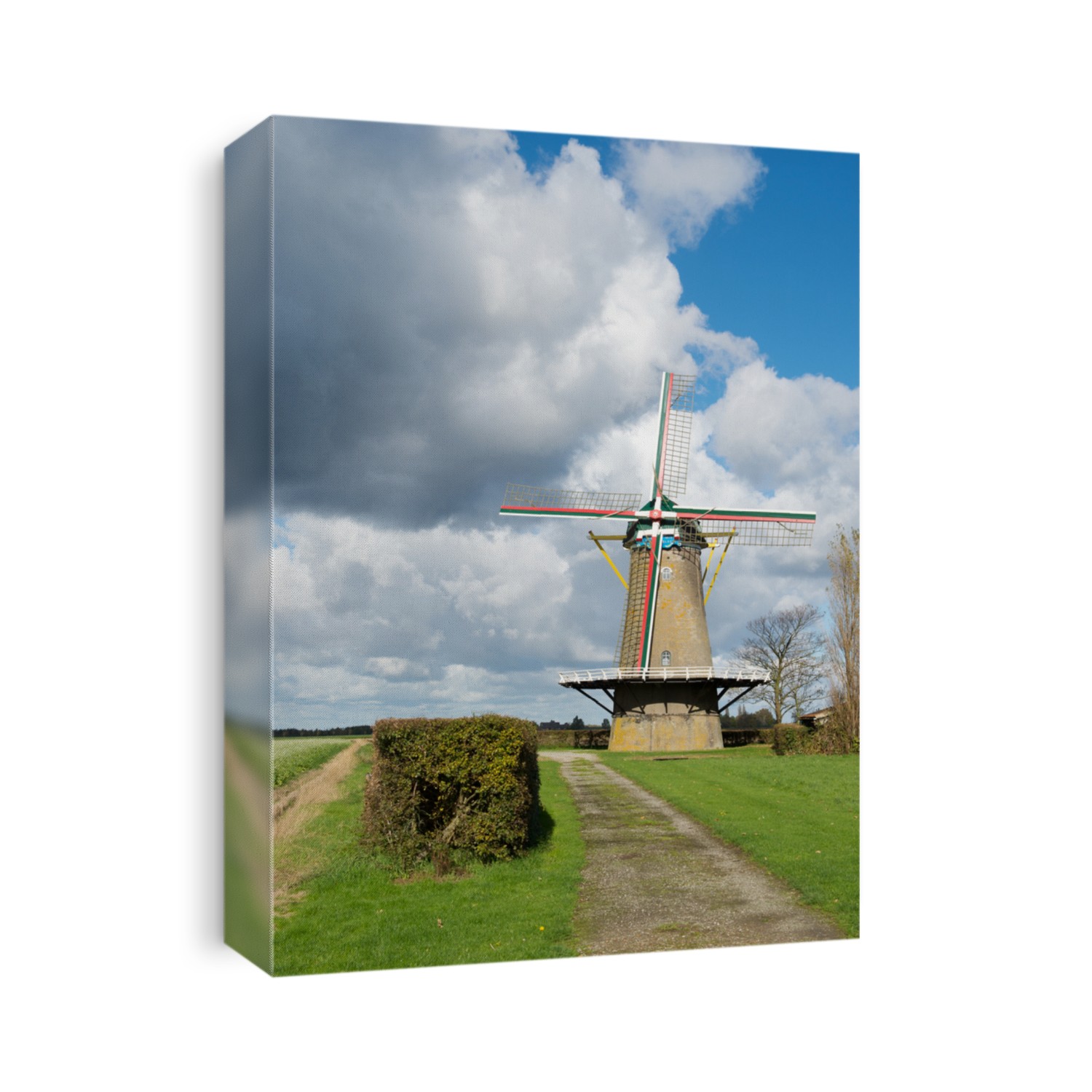 Dutch windmill De Korenbloem in Zonnemaire zeeland